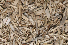 biomass boilers Twerton