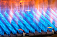 Twerton gas fired boilers